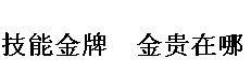 技能金牌　金贵在哪